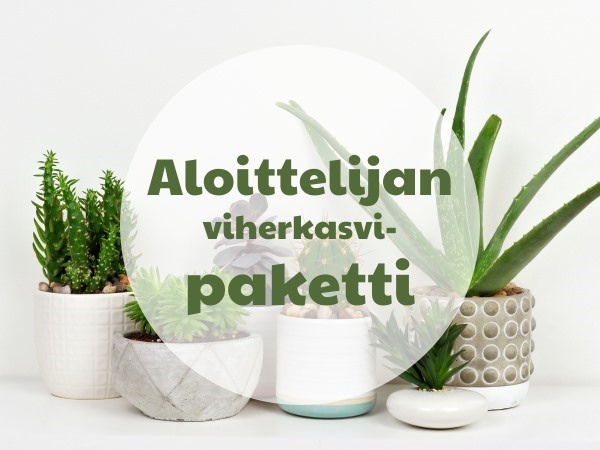 Aloittelijan viherkasvipaketti